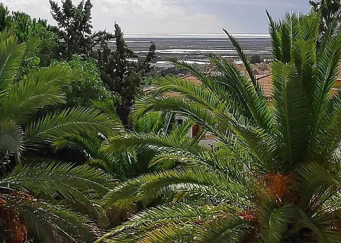 Cosy Holidays تافيرا