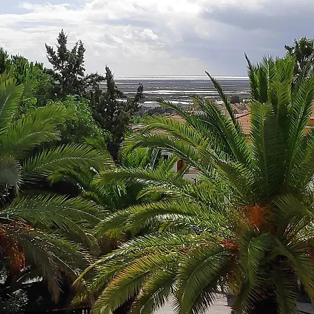 Cosy Holidays טאווירה