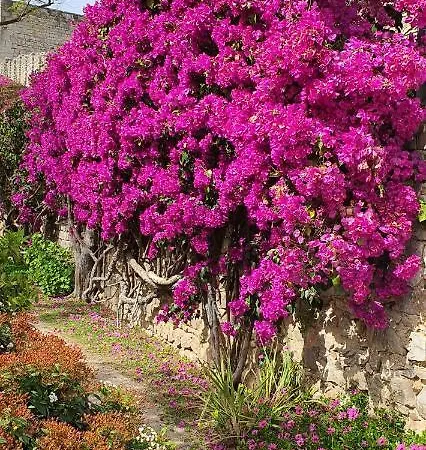 Appartement Cosy Holidays Tavira
